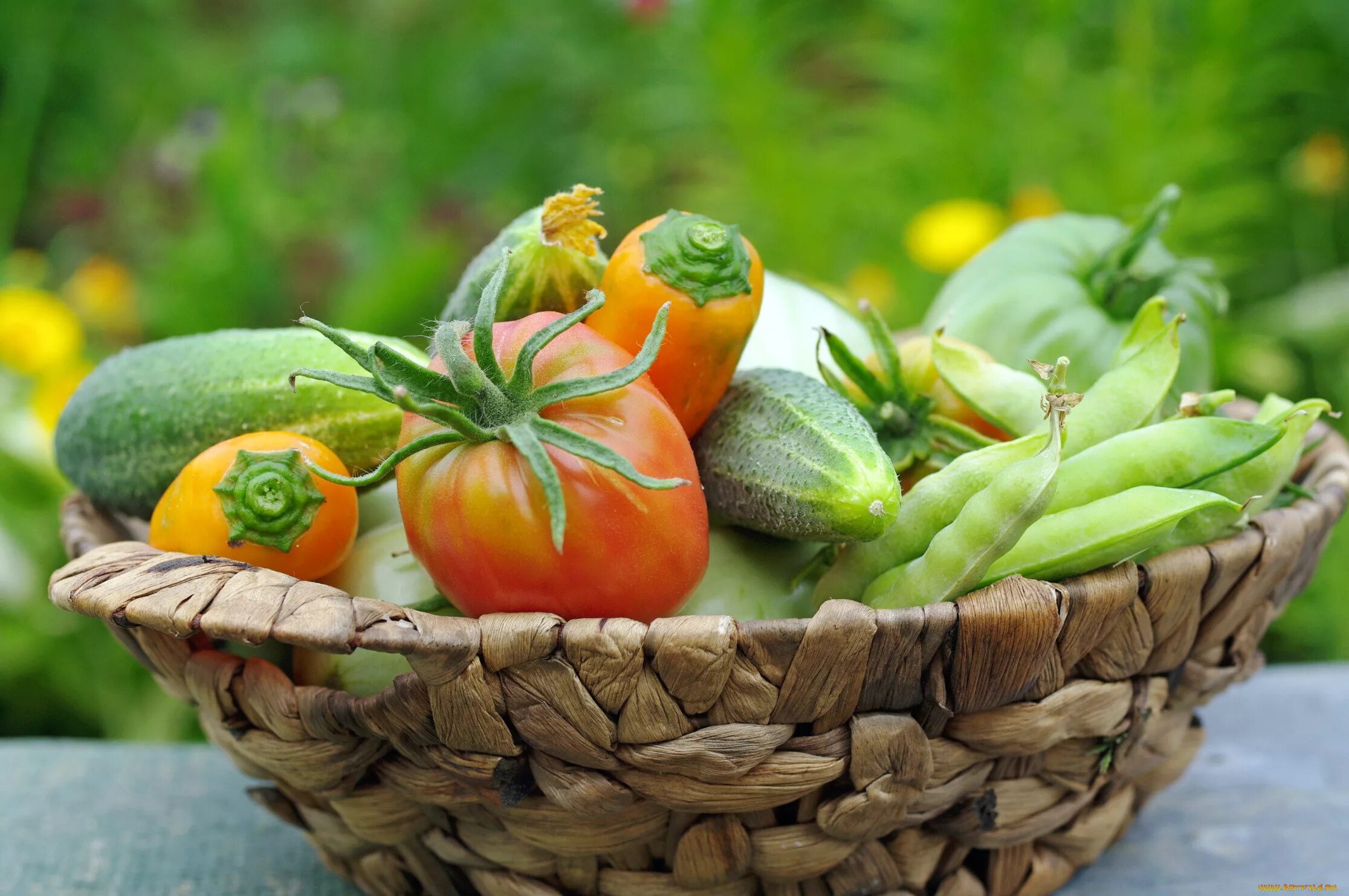 Зима лето фрукты овощи. Томаты, перцы, огурцы, цуккини. Летние овощи. Огурцы и помидоры. Овощи на столе.