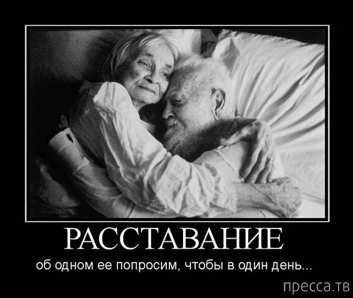 Живем вместе не дает. Любовь до старости цитаты. главное поддержка в старости. быть вместе до старости. любовь до старости статусы.