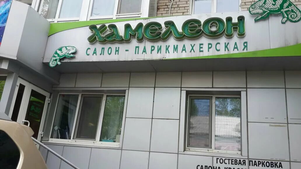 Хамелеон салон красоты. Салон красоты хамелеон. Салон хамелеон Красногорск. Салон красоты хамелеон Ярославль. Парикмахерская хамелеон Глазов.