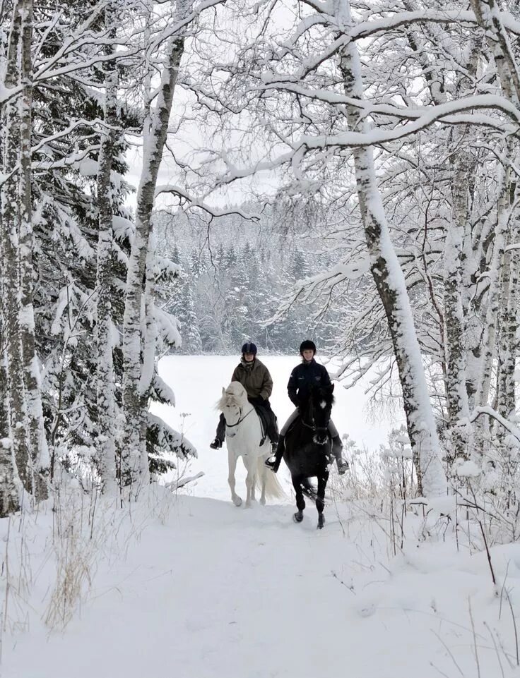 Walking in winter