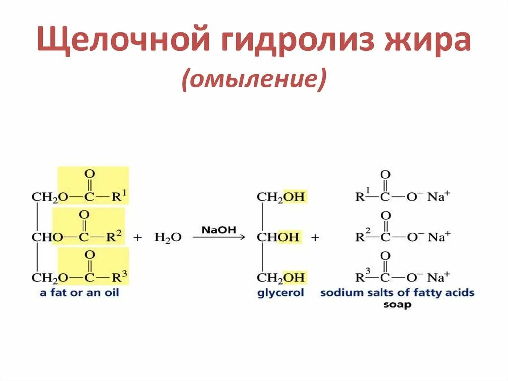 Напишите реакцию щелочного гидролиза