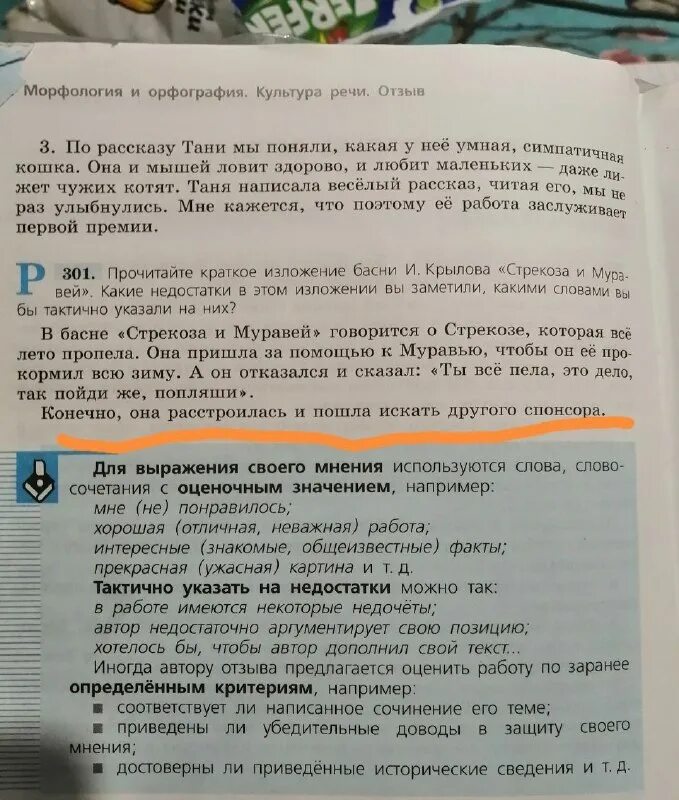Сообщить заметить. Сообщить заметить