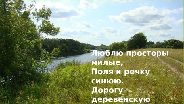 Утро в березовой роще. Шировка страна моя родная. Природа нашей родины. Русские просторы текст. Песня люблю российские привольные просторы.