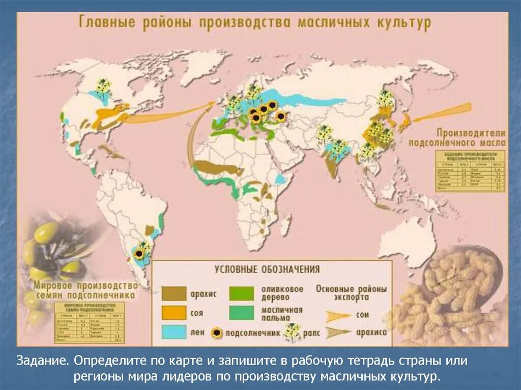 Районы выращивания на карте. Районы распространения масличных культур. Страны Лидеры по выращиванию масличных культур. География масличных культур.