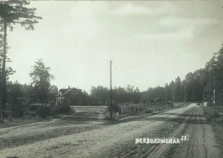 Старые колтуши