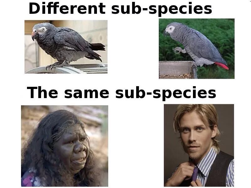 Your not the same. Different subspecies meme. Chuck Bird Human. FST Races and subspecies.