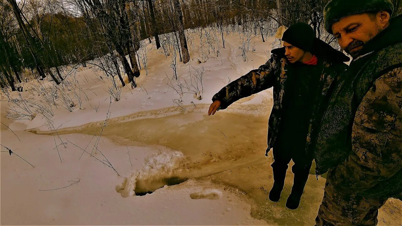 Который спас ситуацию. В забайкалье спасли мишку. tip0mbicji0buk alex. промысловик алекс ютуб последнее видео.