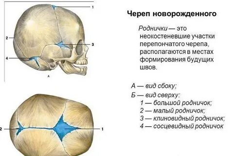 Что значит темечко