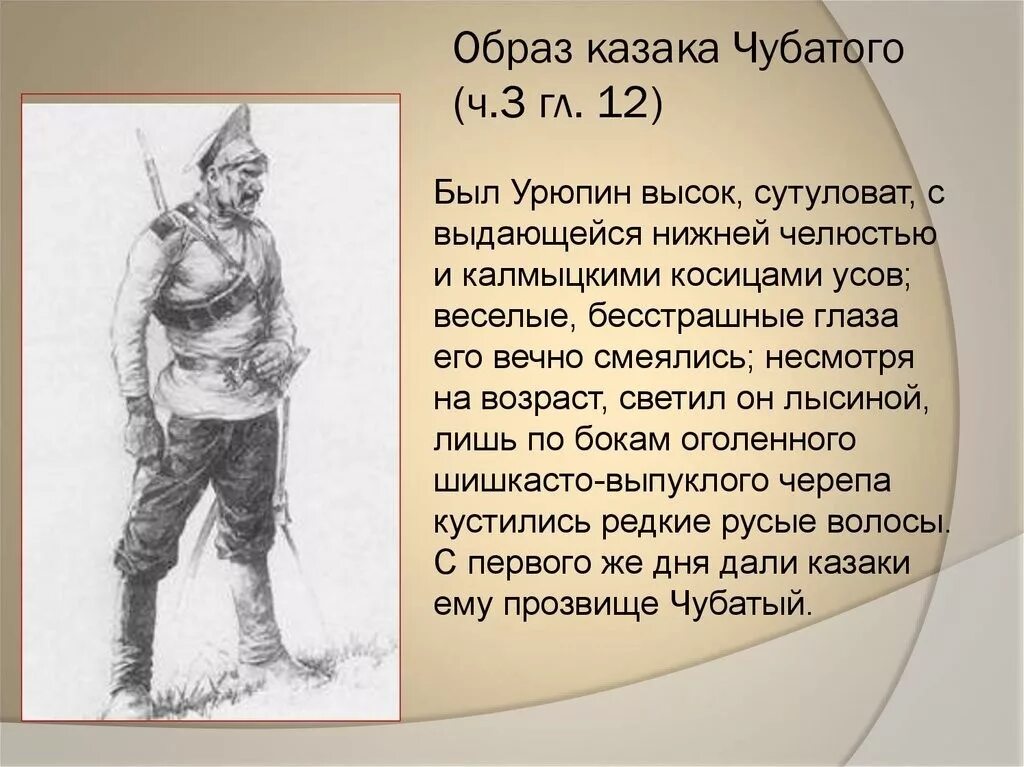 Краткое содержание тихий дон 5 глава. Образ чубатого в романе тихий Дон. Казак чубатый тихий Дон. Чубатый тихий Дон характеристика.