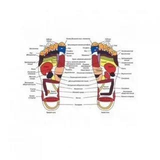 Инструкция по применению foot massager
