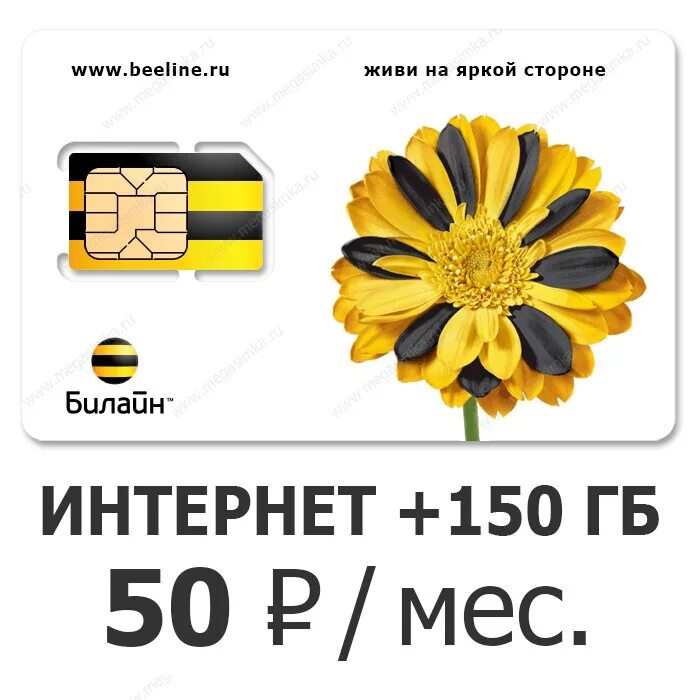 билайн безлимит интернет. билайн безлимит интернет. безлимитная сим карта билайн. безлимит сим карты билайн. симкарта с безлимитным интернетом билайн.