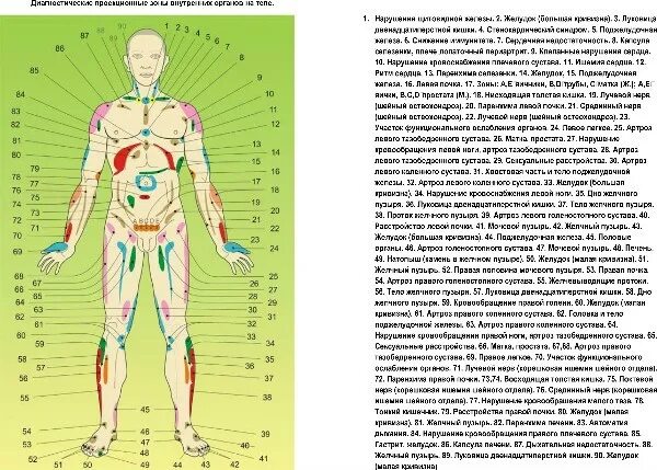 Огулов книги купить. Огулов схема человека. Висцеральная терапия по Огулову схема. Огулов точки на теле. Проекционные зоны внутренних органов на теле человека.