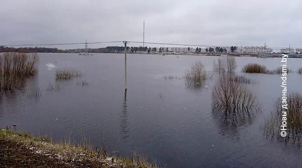 Уровень воды жлобин в реке