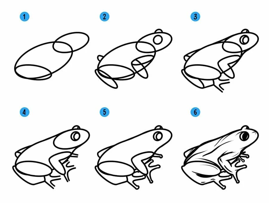 Пошаговое рисование для детей. Как рисовать лягушку. Лягушка рисунок пошагово. Как нарисовать лягушку поэтапно.