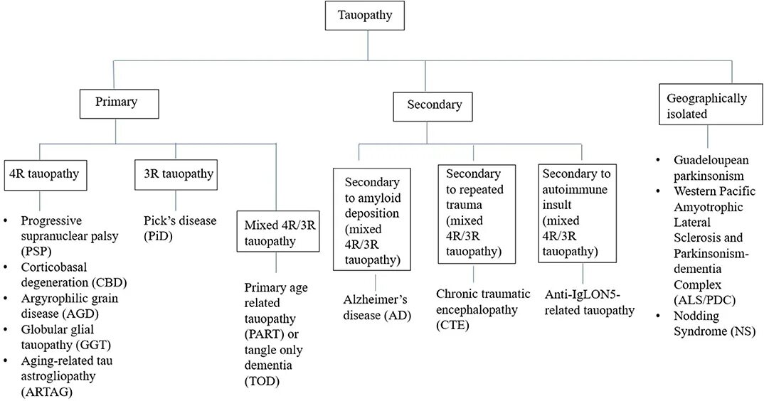 Classification of articles. Classification of aging. classification of aging people. classification of glial tumor who 2025. classification of aging middle old.