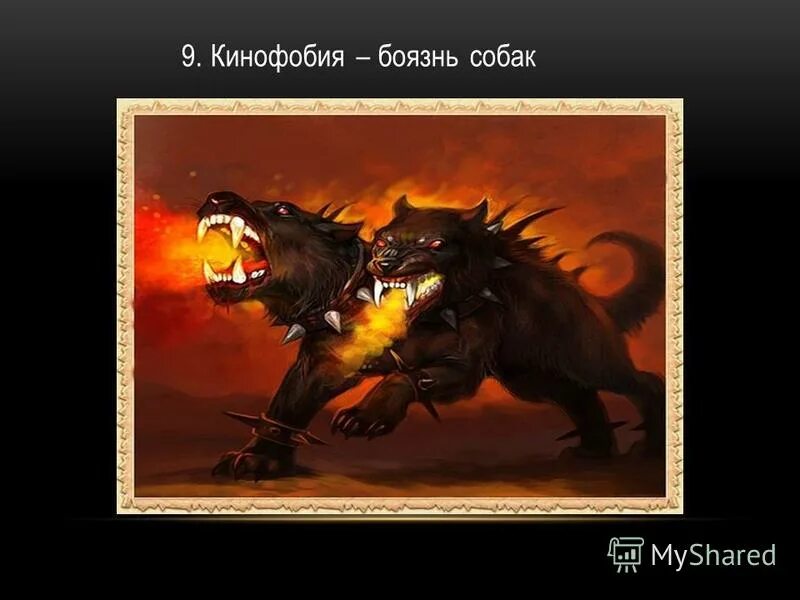 Как называется боязнь собак. Инфобия. как называется фобия боязнь собак.