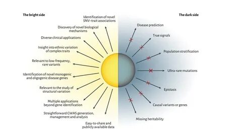 Association study
