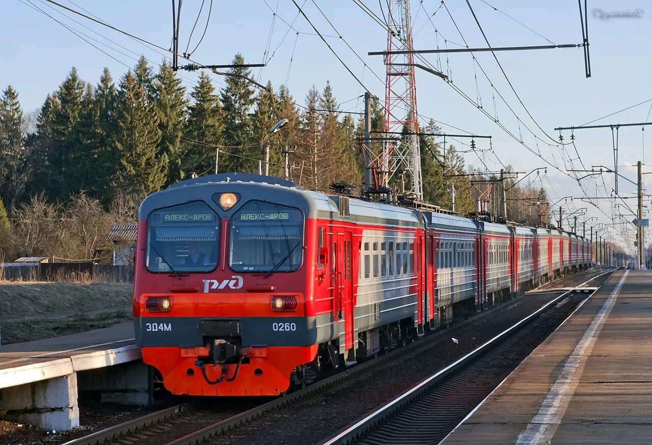 Железнодорожный московская область транспорт. Эд4м комфорт электричка. Эд4м 0260. Эд4м комфорт Витебский. Эд4м РЖД.