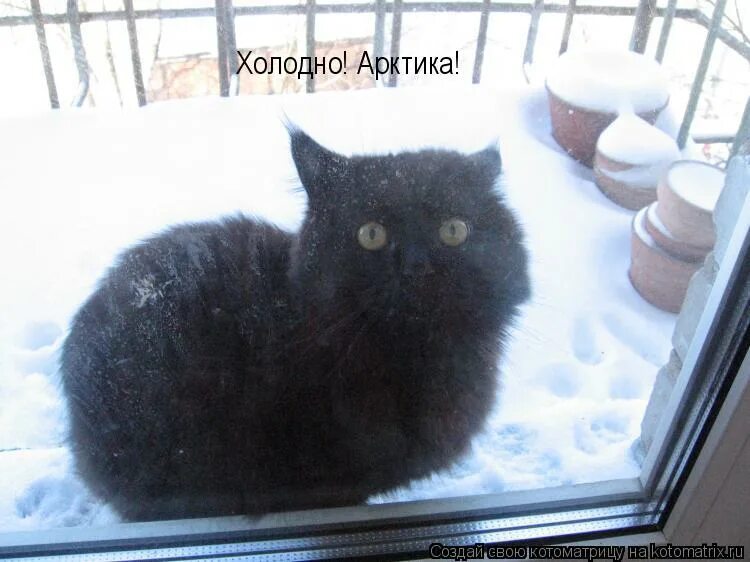 как холодно. человек батарея. одевайся потеплее. холодно. тепло одетый человек.