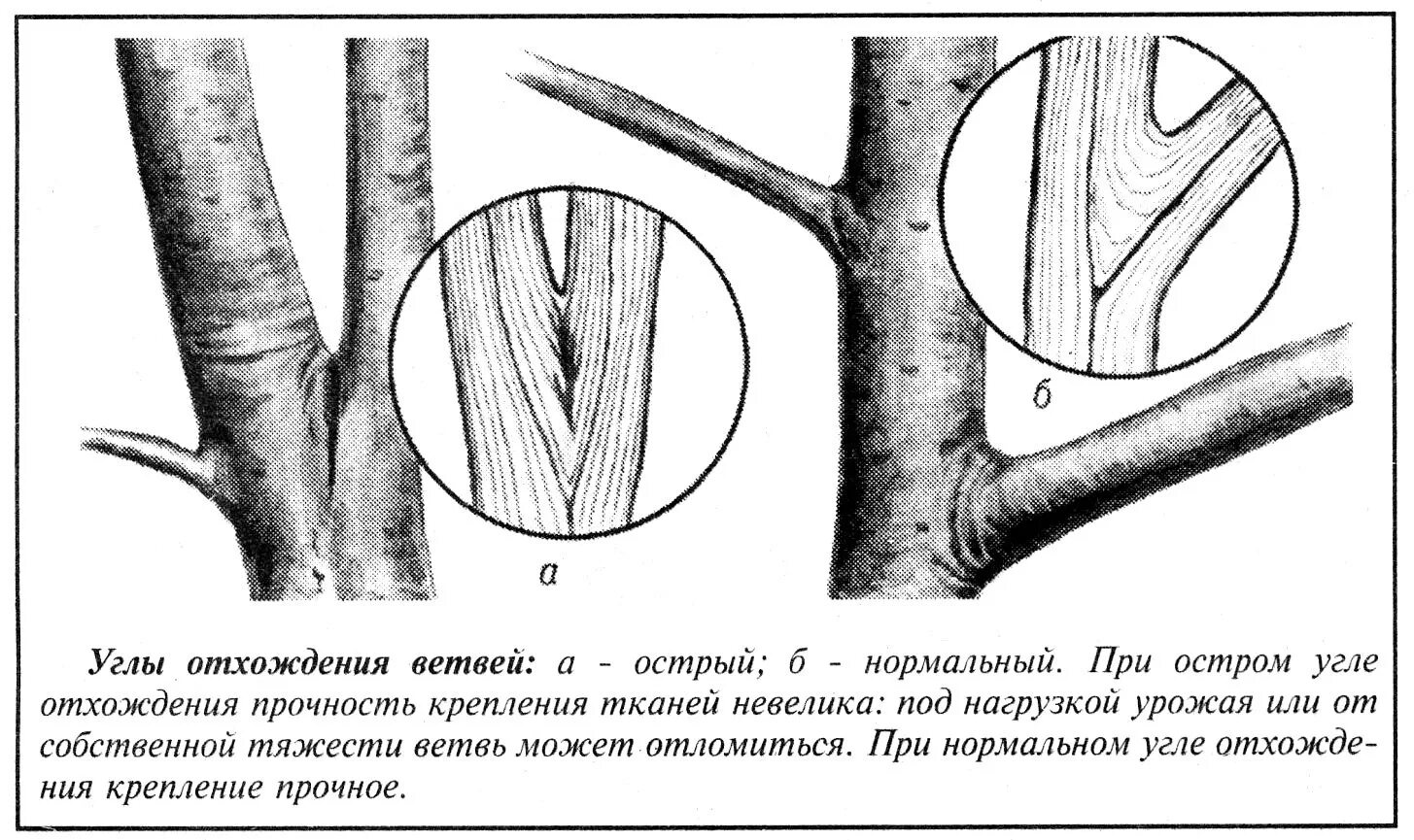 траекториеей полета пу. ствол направлен под углом. снаряд вылетает из орудия. траектория полета пули из ак 74. задачи по баллистике 10 класс по физике.