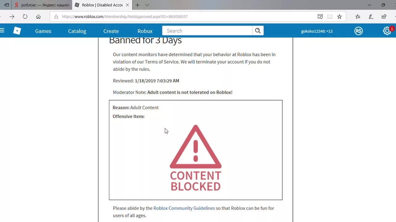 Roblox баны. Бан РОБЛОКС. Меня забанили в РОБЛОКС. Бан аккаунта в РОБЛОКС навсегда. Забанили аккаунт в РОБЛОКС.