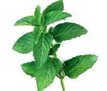 Mint с английского на русский
