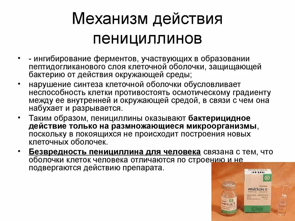 Механизм пенициллинов. Группа пенициллинов механизм действия. Механизм антибактериального действия пенициллинов:. Механизм антимикробного действия пенициллина. Механизм действия защищенных пенициллинов.