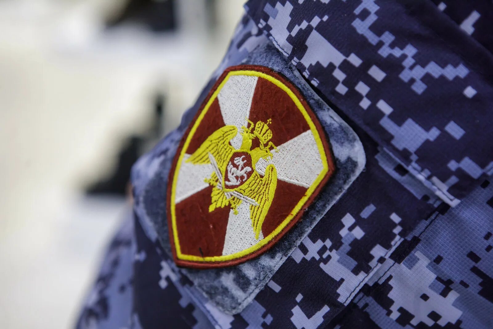 Добровольцы в росгвардию как попасть. Добровольцы в росгвардию как попасть