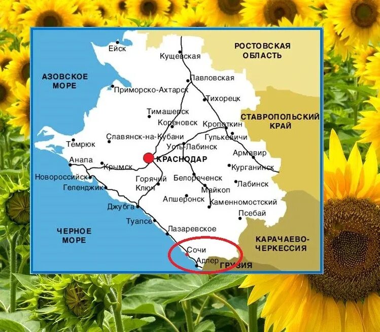 Сколько метров краснодарский край. Кубань на карте. Территория Краснодарского края. Города Краснодарского края. Территория Кубани в Краснодарском крае.