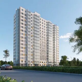 Лыткарино доска