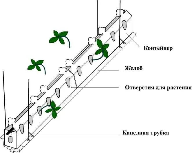 Грядка клубники схема. Контейнеры для посадки клубники в теплице. Схема посадки ремонтантной клубники в открытом грунте. Схема посадки клубники в теплице. Схема посадки клубники на грядке.