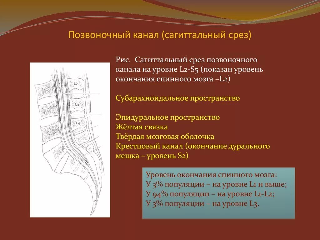 Сагиттальный размер спинномозгового канала норма. Ширина канала спинного мозга норма. Сагиттальный размер позвоночного. Сагиттальный размер позвоночного канала. Крестцовый стеноз