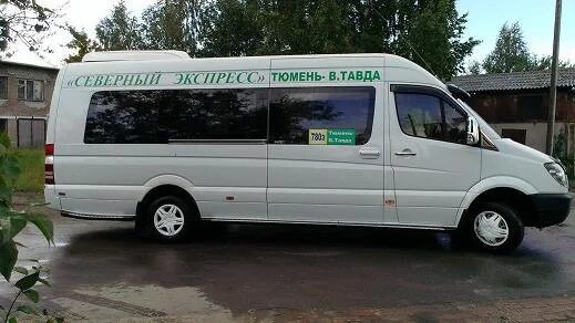 Автобус Тюмень Тавда. Северный экспресс. Такси Тавда Тюмень. Автобус Тюмень Тавда 780. Северный экспресс маршрутки