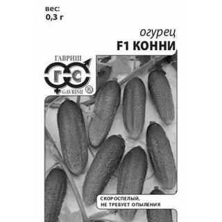 Огурец конни описание
