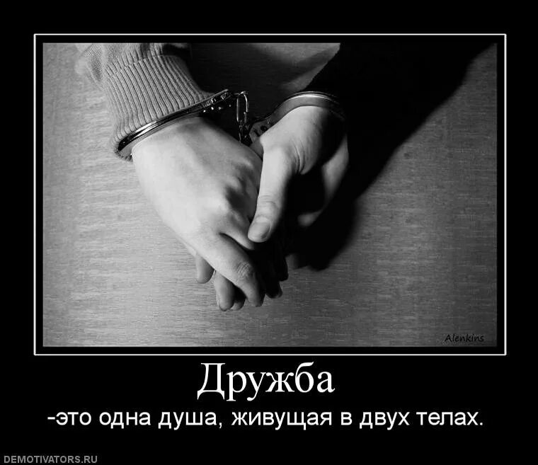 настоящие друзья. дружба. дружба в двух словах. афоризмы про мужскую дружбу. красивые слова про дружбу.