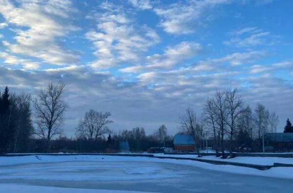 Погода в заокском районе тульской на 3. Деревня васильково тульская область. На 14 дней заокский. День поселка заокский. Питомники заокский район тульская область деревня сонино.