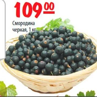 Смородина ярославль