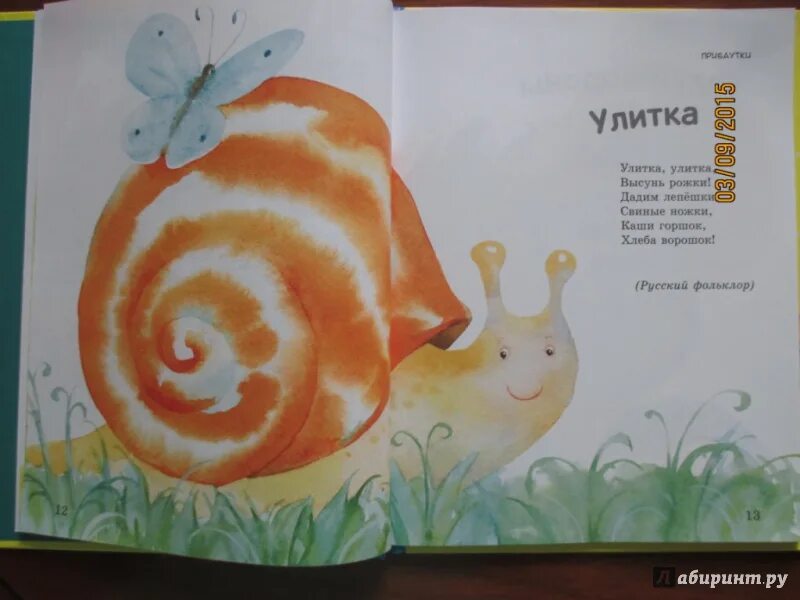 Про улитку и бармена. Про улитку и бармена