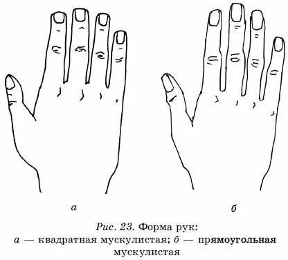 Что говорит форма рук. Форма ладони. руки в форме квадрата. угловатые руки. форма руки и характер.
