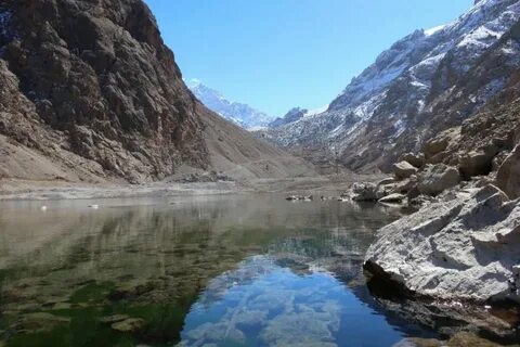 Шинга куль