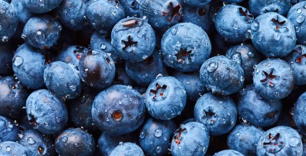 Blueberries - Chrome Web Mağazası