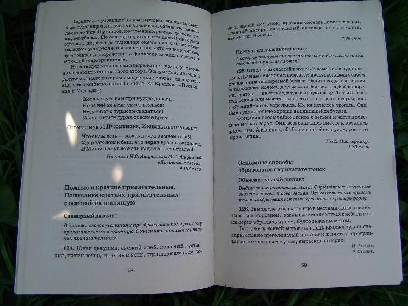 Диктант 7 класс. Контрольный диктант по русскому языку 7 класс. Диктант по бурятскому языку. Диктанты для 4-5 классов по русскому языку. Купание в реке диктант 7 класс.