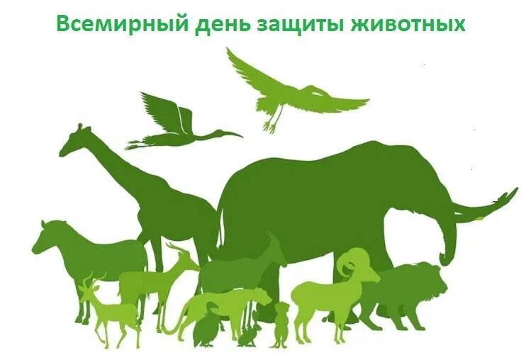 Международный день животных. Защита животных. всемирный день животных. международный день защиты животных. 4 октября всемирный день защиты животных.