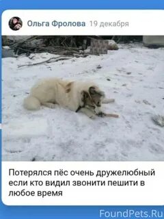 Собака лает как пишется правильно