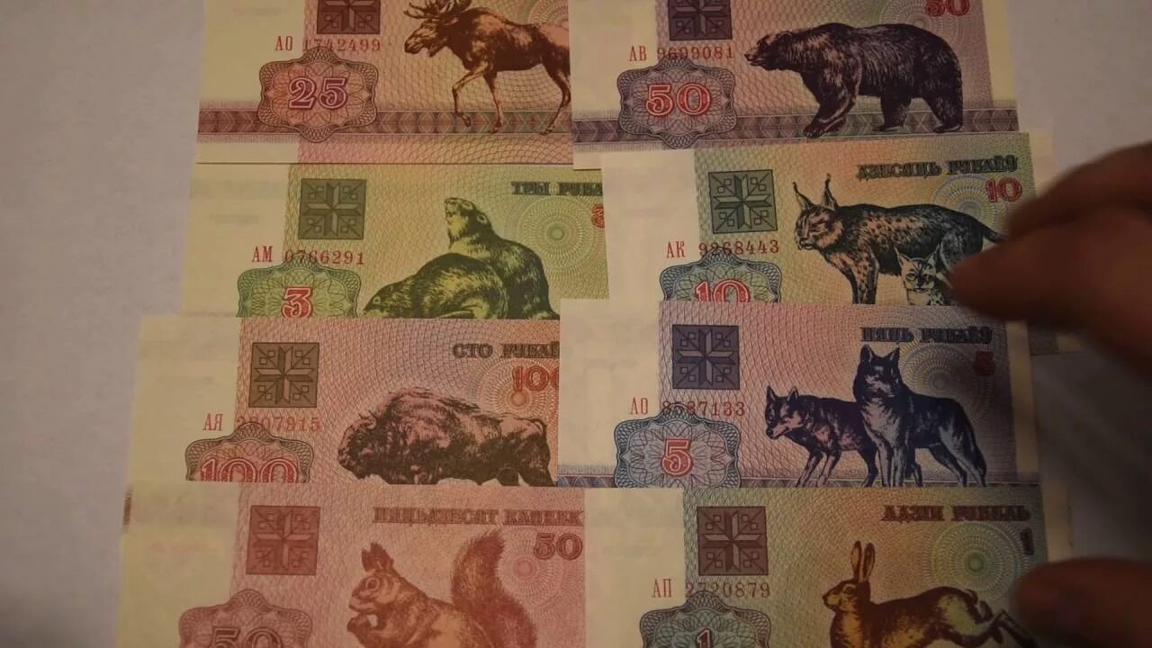 Белорусские деньги зайчики и белочки фото
