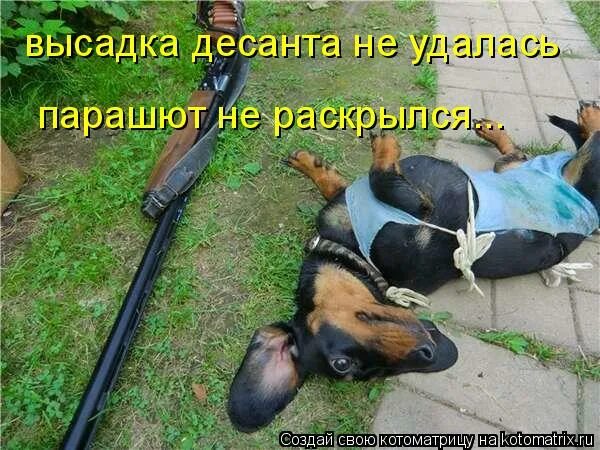 А если парашют не раскроется новый дадут. Не раскрылся парашют фото. не раскрылся парашют у десантника. не раскрылся парашют видео.