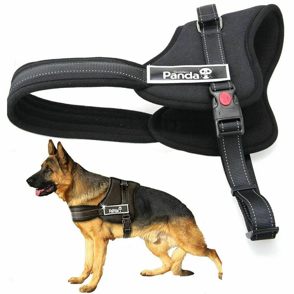 Шлейка Голден Панда. Шлейка для собак Refl Dog harness. Шлейка "buddy" мини 24001. Rurri шлейка XS. К1 купить для собак