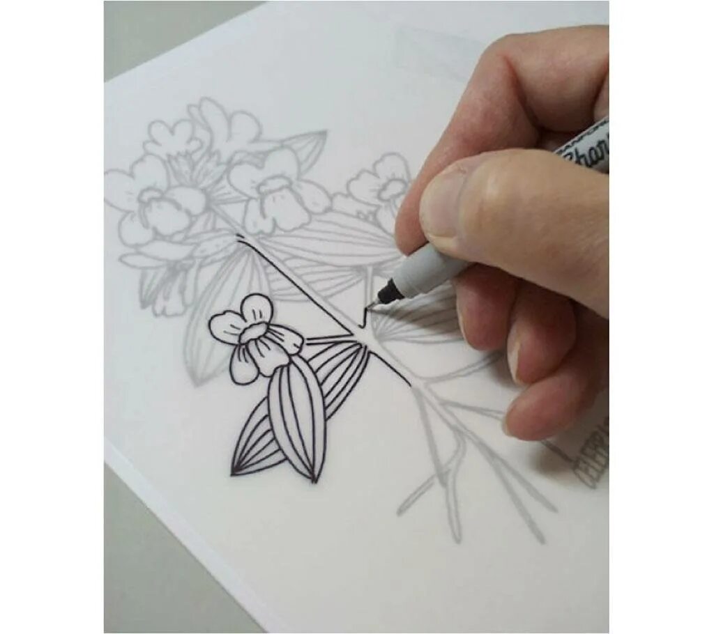 Tracing paper. Трейсинг в рисовании. tracing sketches на невидимом фоне. pixart tracing paper.