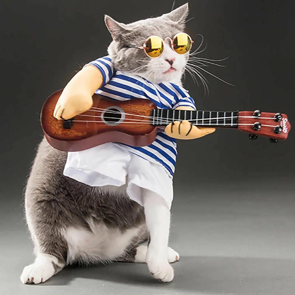 Кошка музыкант