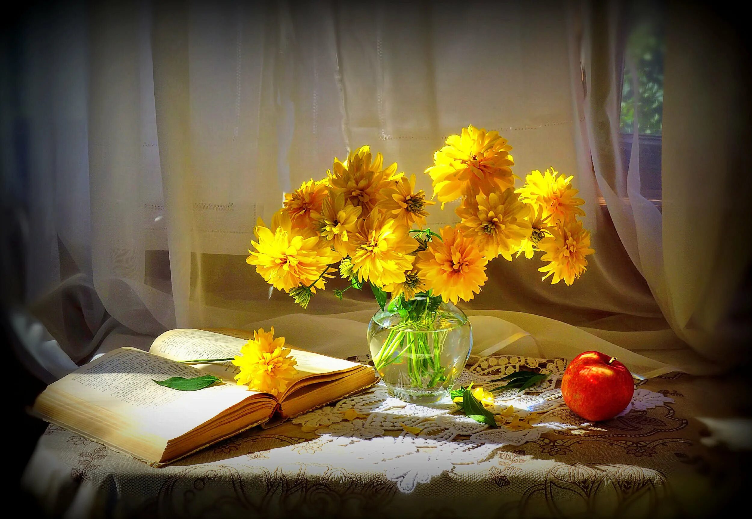 роза бернштайн роуз. утренняя роза в солнечных лучах. цветы освещенные солнцем. розы освященные солнцем. лучи солнца.